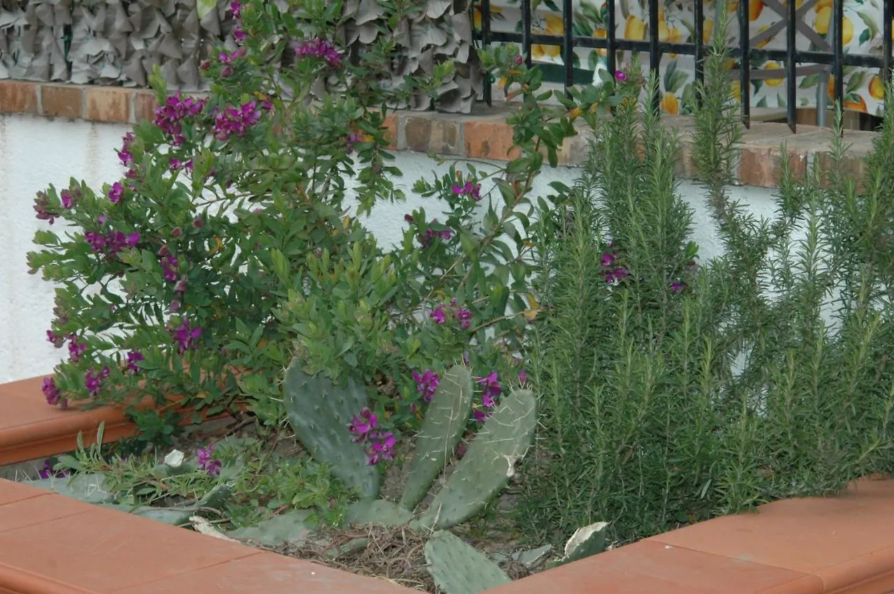 B&B La Terrazza La Caletta Bed & Breakfast